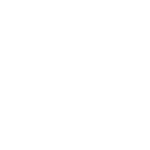 Logo_GEM_WEB-copia